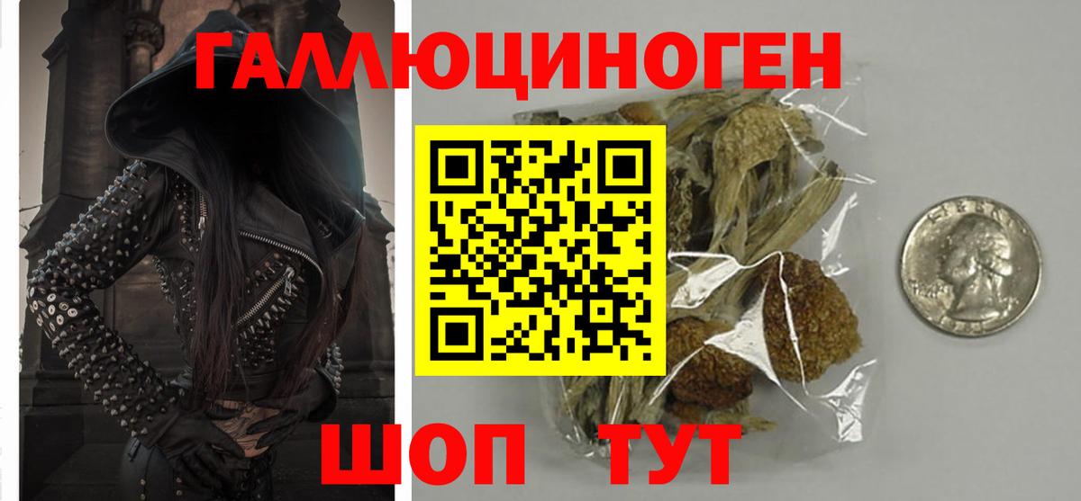 Псилоцибиновые грибы ЛСД  Вход с VPN  Галлюциногенные грибы ЛСД  Гурьевск 