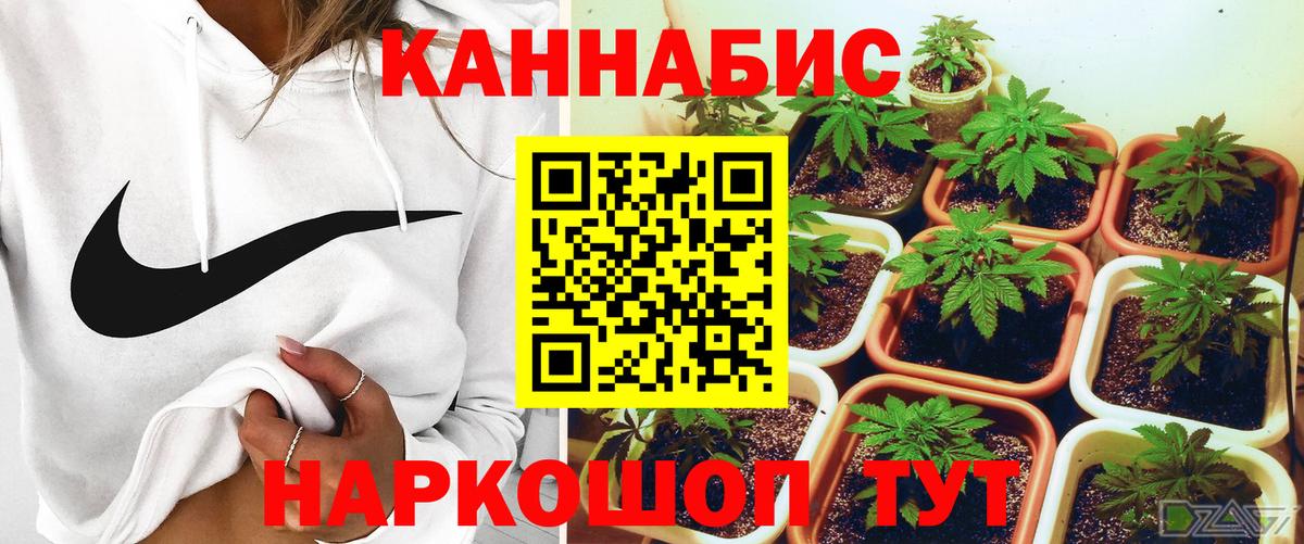 Конопля AK-47 Гурьевск